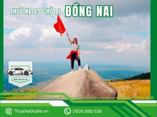 Thuê Xe 45 Chỗ Đi Đồng Nai